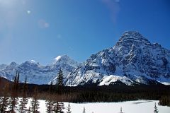 Peyto Lake To Sask Crossing